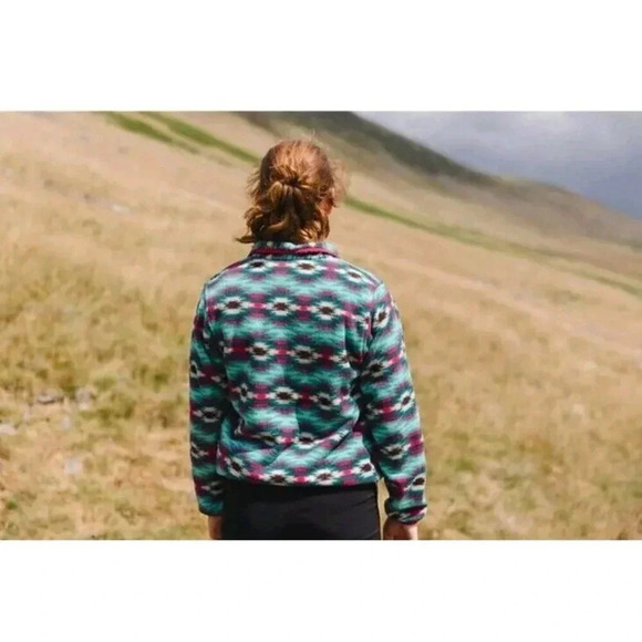 Patagonia Synchilla Wild Desert Aztec Western Pullover Fleece Jacket Sweater XS - Picture 2 of 14